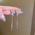 Elegant Silver Drop Earrings