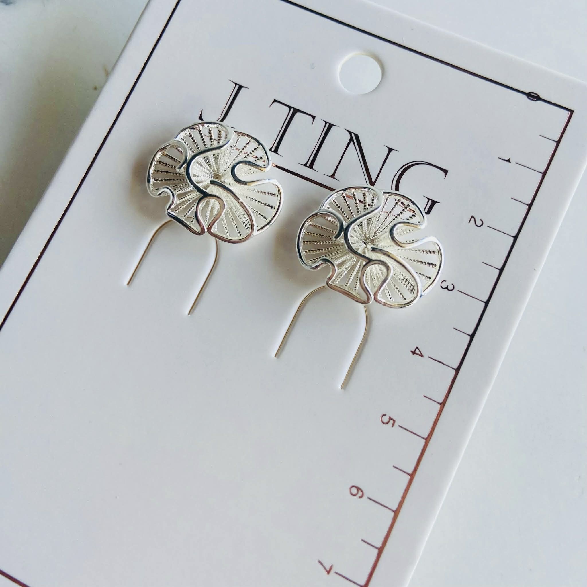 Circular Silver Shine Earrings
