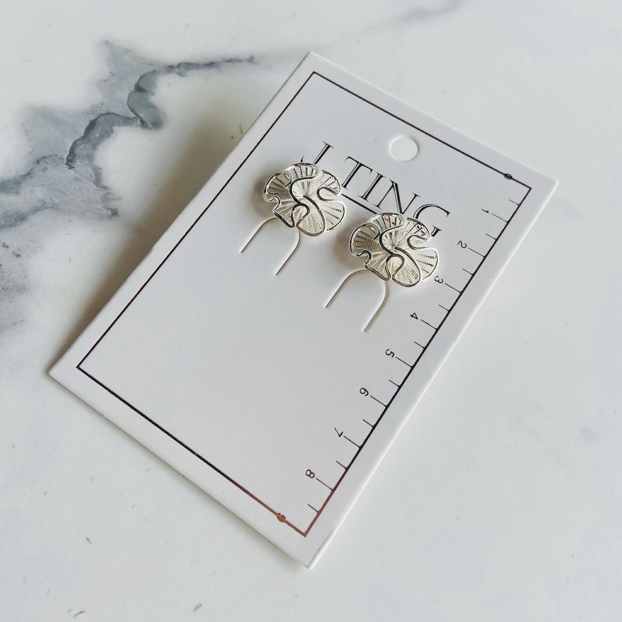 Circular Silver Shine Earrings
