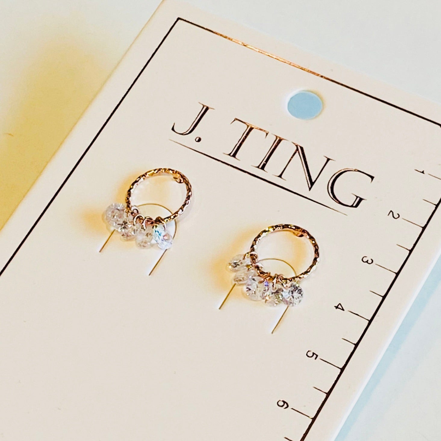 Dewdrop Circle Earrings