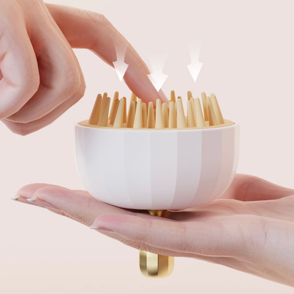 Shampoo Brush and Holder