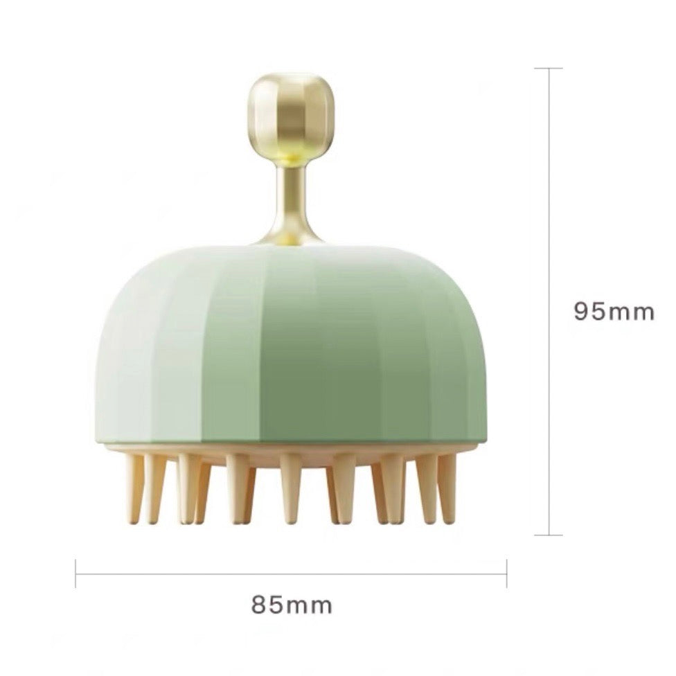 Shampoo Brush and Holder