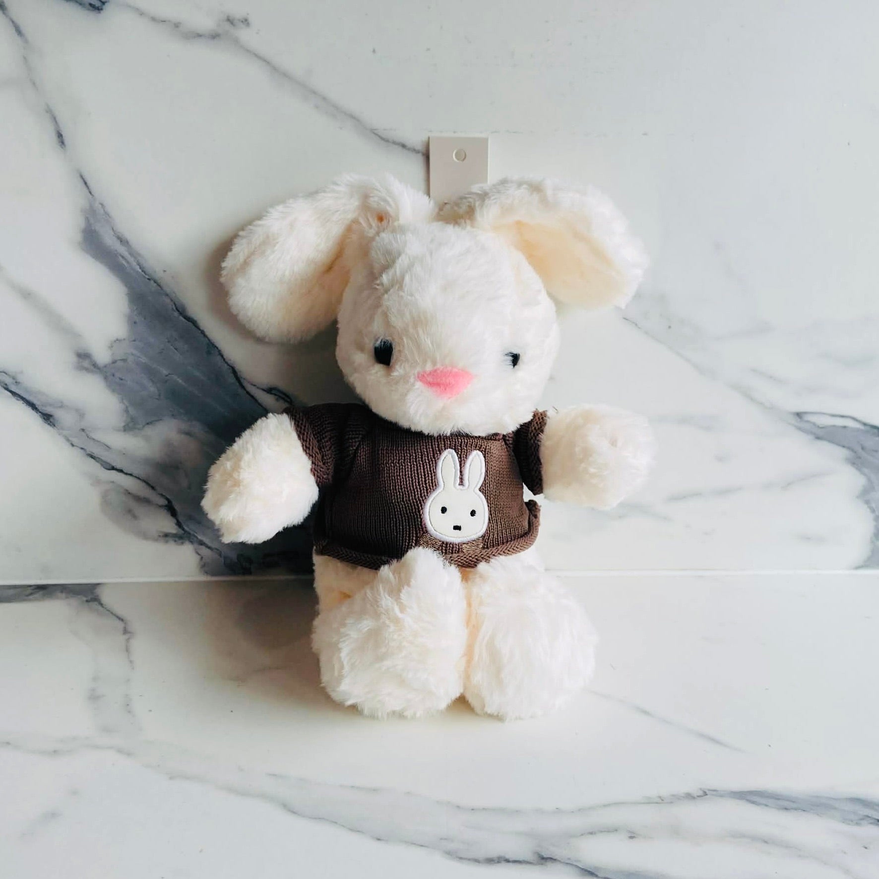 Soft Bunny with Sweater