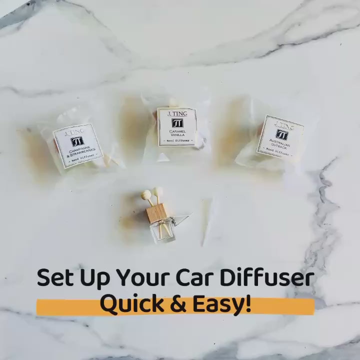 Coconut Lime Punch Car Reed Diffuser
